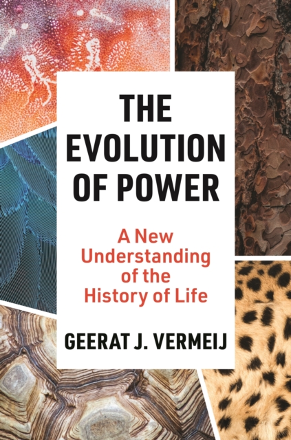 The Evolution of Power : A New Understanding of the History of Life, Hardback Book