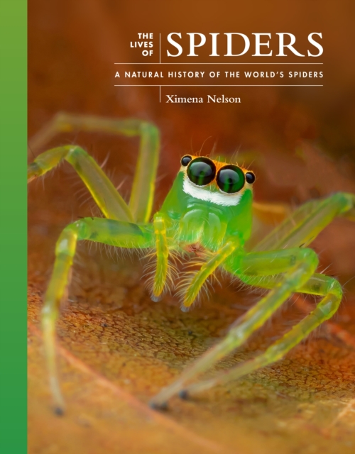 The Lives of Spiders : A Natural History of the World's Spiders, Hardback Book
