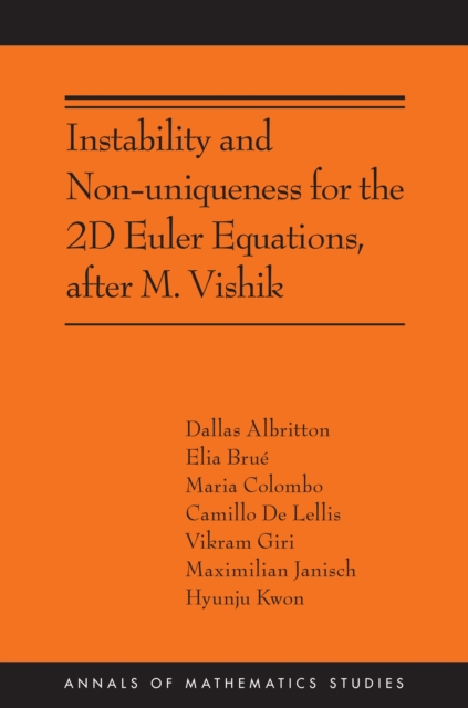 Instability and Non-uniqueness for the 2D Euler Equations, after M. Vishik : (AMS-219), PDF eBook