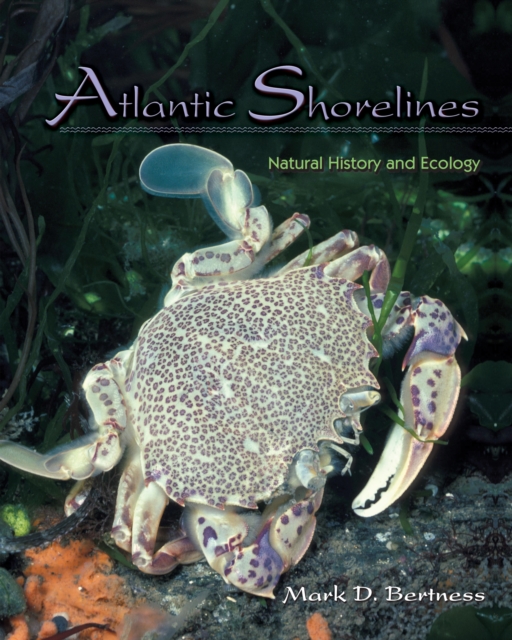 Atlantic Shorelines : Natural History and Ecology, EPUB eBook