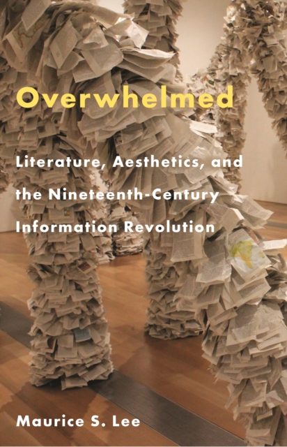Overwhelmed : Literature, Aesthetics, and the Nineteenth-Century Information Revolution, Paperback / softback Book