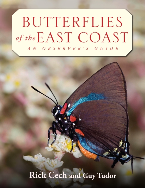 Butterflies of the East Coast : An Observer's Guide, PDF eBook