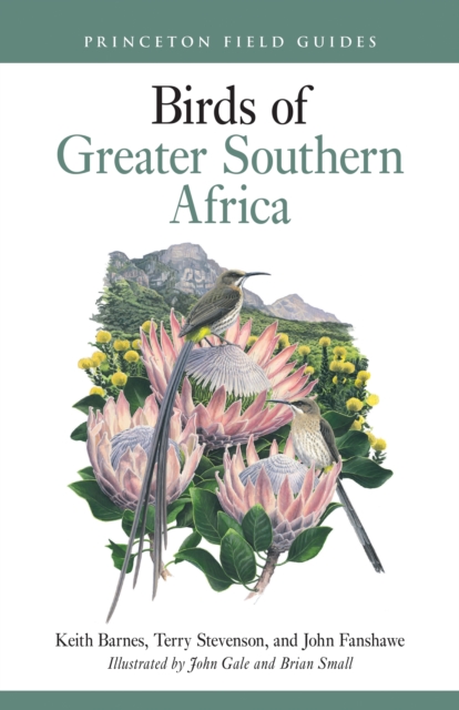 Birds of Greater Southern Africa, Paperback Book