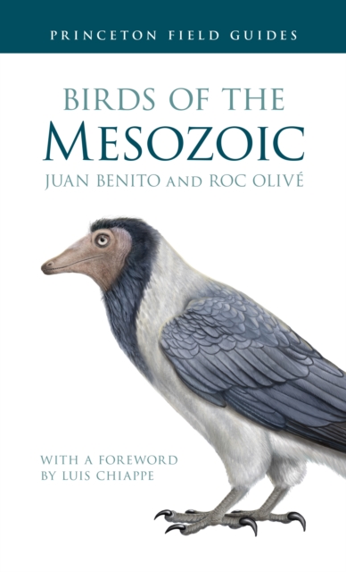 Birds of the Mesozoic, Paperback Book