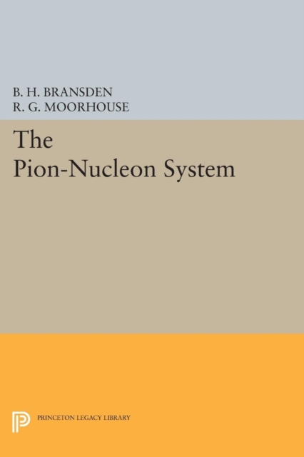 The Pion-Nucleon System, Paperback / softback Book
