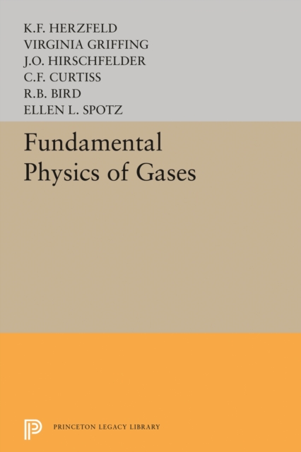 Fundamental Physics of Gases, Paperback / softback Book