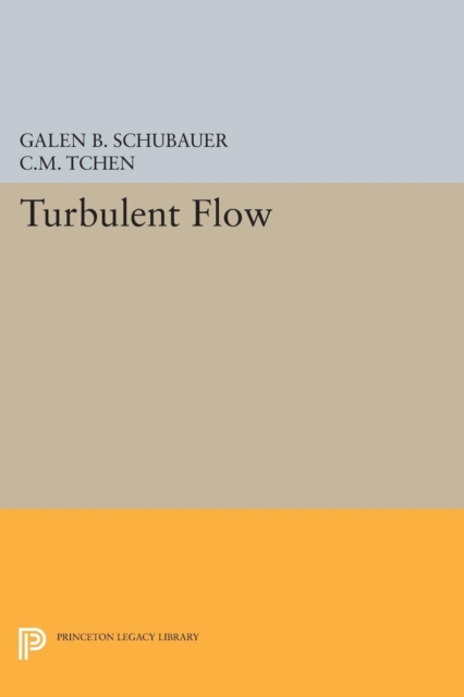 Turbulent Flow, Paperback / softback Book