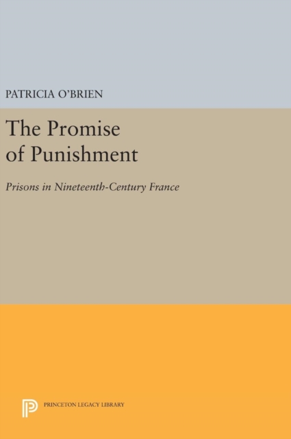 The Promise of Punishment : Prisons in Nineteenth-Century France, Hardback Book