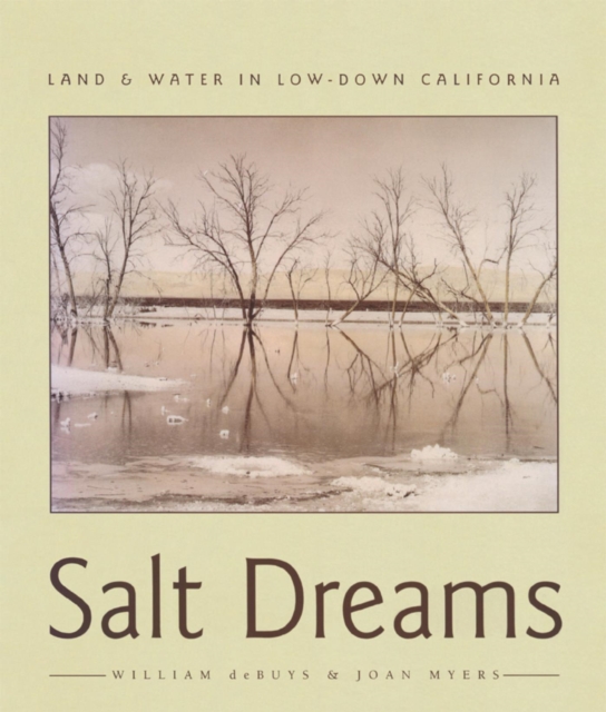Salt Dreams : Land & Water in Low-Down California, EPUB eBook