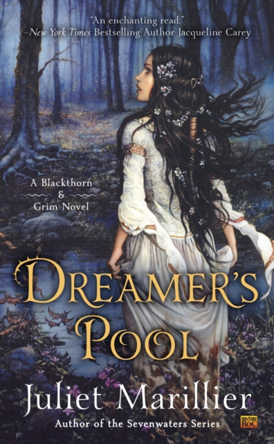 Dreamer's Pool, EPUB eBook