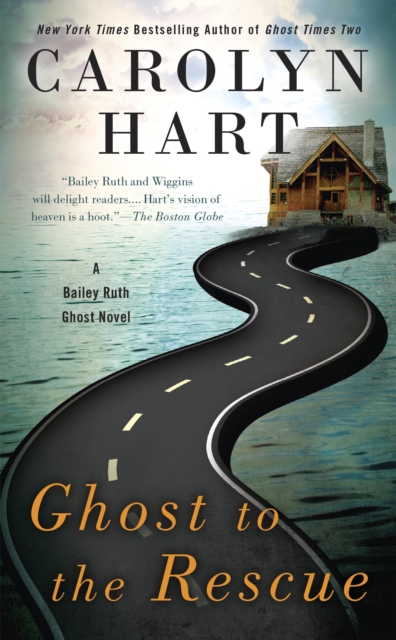 Ghost to the Rescue, EPUB eBook