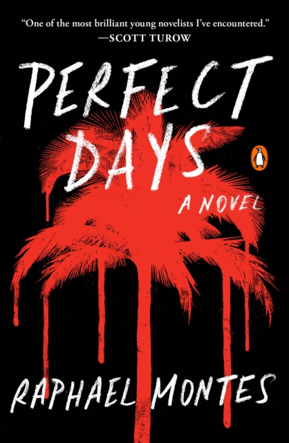 Perfect Days, EPUB eBook