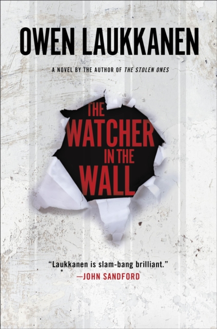Watcher in the Wall, EPUB eBook