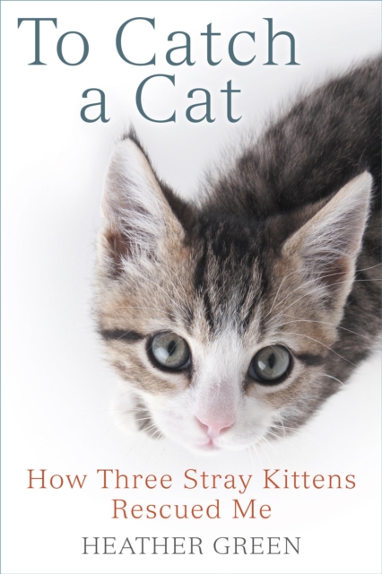 To Catch a Cat, EPUB eBook