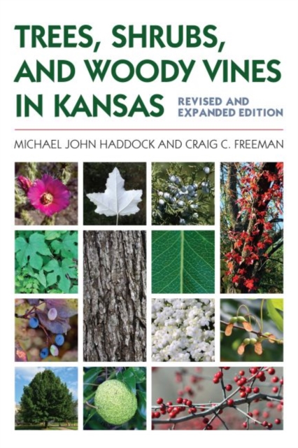 Trees, Shrubs, and Woody Vines in Kansas, Paperback / softback Book