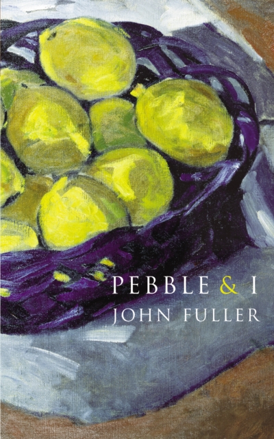 Pebble & I, Paperback / softback Book