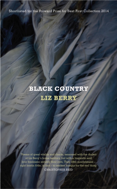 Black Country, Paperback / softback Book