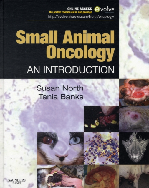 Small Animal Oncology : An Introduction, Hardback Book