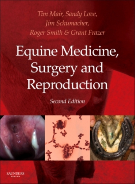 Equine Medicine, Surgery and Reproduction, Hardback Book