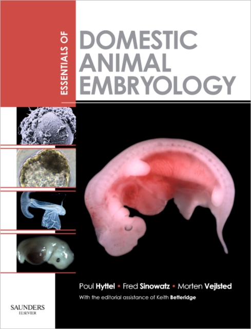 Essentials of Domestic Animal Embryology, Paperback / softback Book