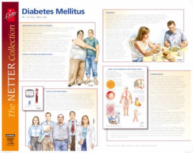 Frank H. Netter Diabetes and Complications Poster, Poster Book