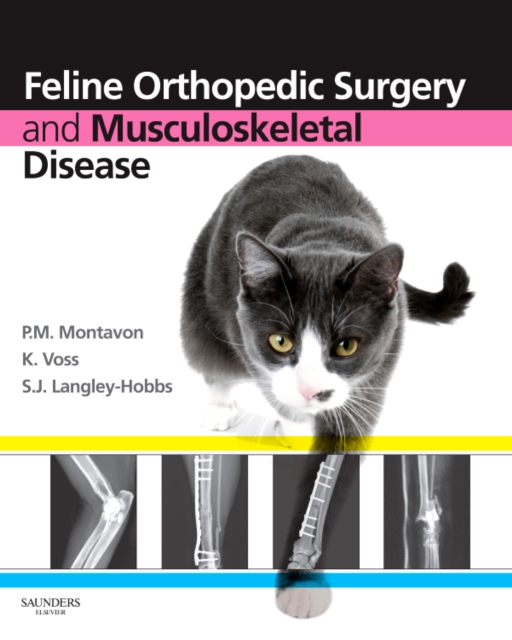 Feline Orthopedic Surgery and Musculoskeletal Disease, Hardback Book
