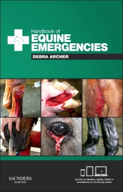 Handbook of Equine Emergencies, Paperback / softback Book