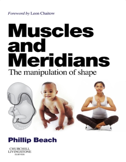 Muscles and Meridians : The Manipulation of Shape, EPUB eBook