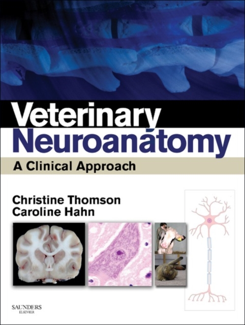Veterinary Neuroanatomy : A Clinical Approach, EPUB eBook
