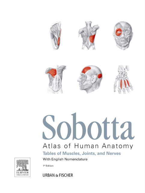Sobotta Tables of Muscles, Joints and Nerves, English : Tables to 15th ed. of the Sobotta Atlas, Paperback / softback Book