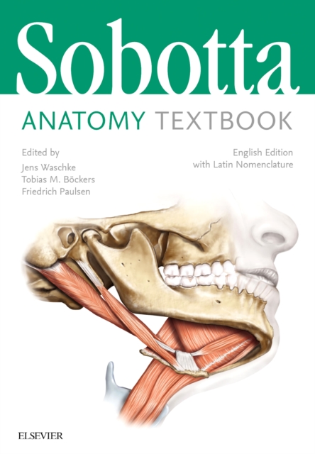 Sobotta Anatomy Textbook : English Edition with Latin Nomenclature, Hardback Book