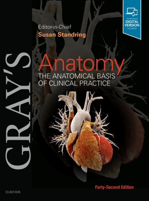 Gray's Anatomy : The Anatomical Basis of Clinical Practice, Hardback Book