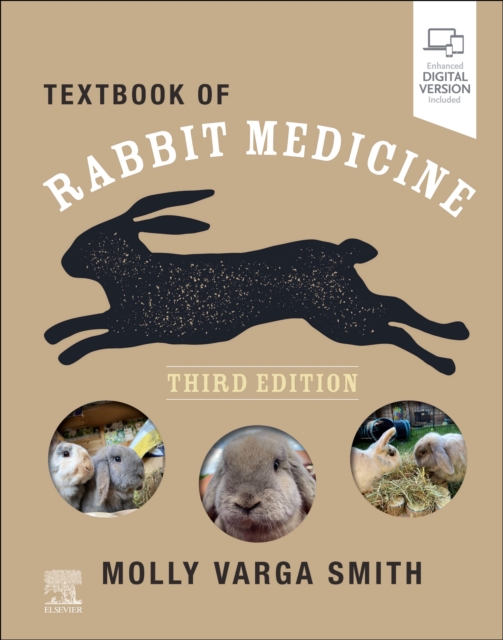 Textbook of Rabbit Medicine, Paperback / softback Book