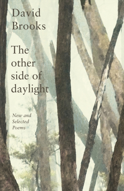 The Other Side of Daylight : New and Selected Poems, PDF eBook