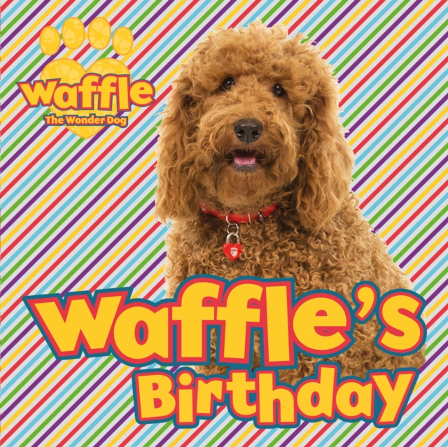 Waffle's Birthday, Paperback / softback Book