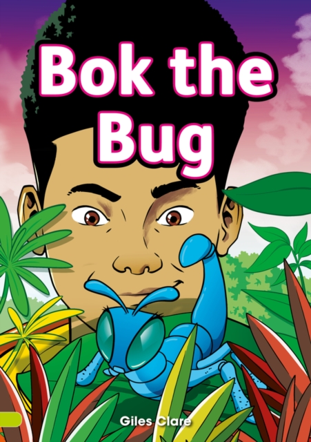Bok the Bug (Set 02), Paperback / softback Book