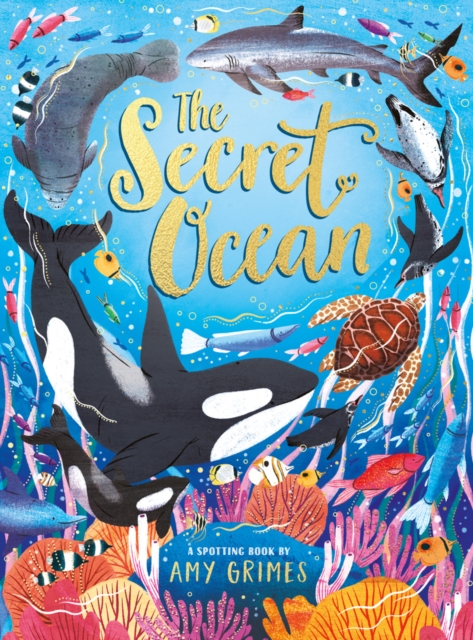 The Secret Ocean, Hardback Book