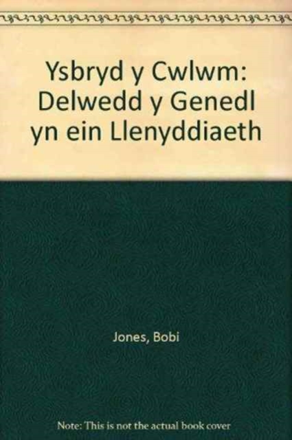 Ysbryd y Cwlwm : Delwedd y Genedl yn ein Llenyddiaeth, Paperback / softback Book
