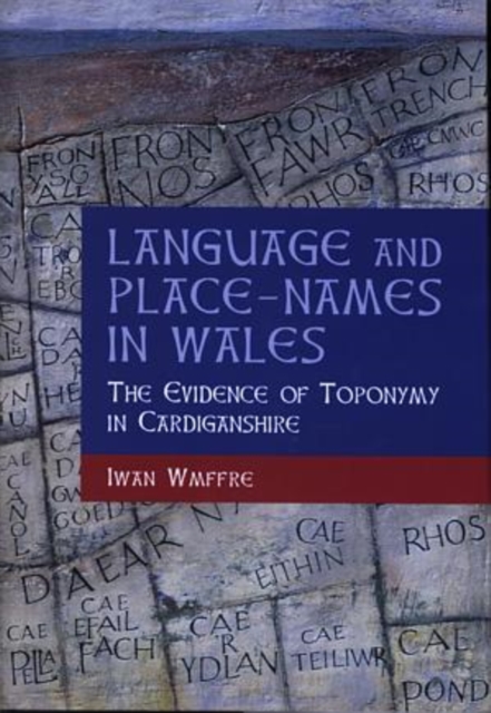 Language and Place-names in Wales, Hardback Book