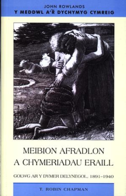 Meibion Afradlon a Chymeriadau Eraill : Golwg ar y Dymer Delynegol, 1891-1940, Paperback / softback Book