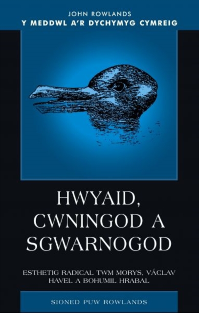Hwyaid, Cwningod a Sgwarnogod : Esthetig Radical Twm Morys, Vaclav Havel a Bohumil Hrabal, Paperback / softback Book