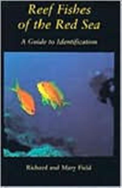 Reef Fish Of The Red Sea : A Guide to Identification, Hardback Book