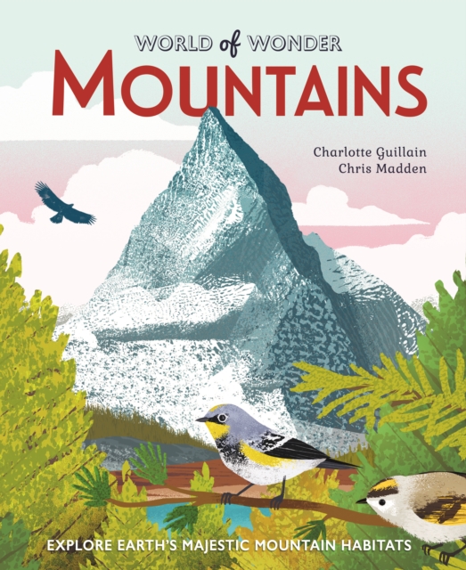 Mountains, Hardback Book