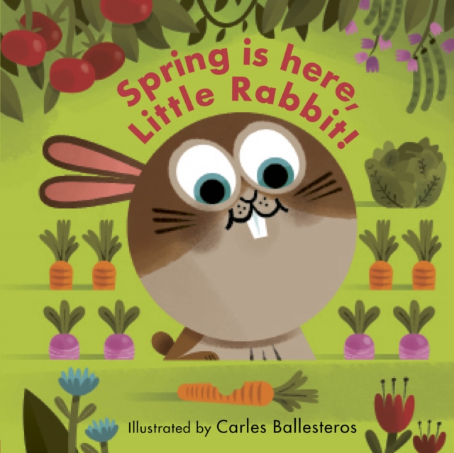 Spring Is Here, Little Rabbit!, Board book Book