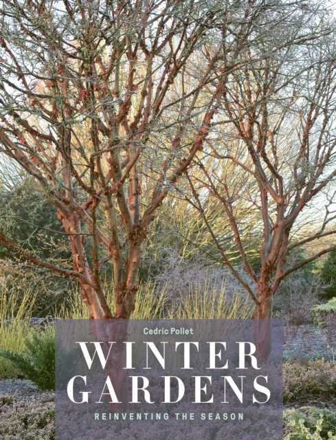 Winter Gardens : Reinventing the Season, Hardback Book