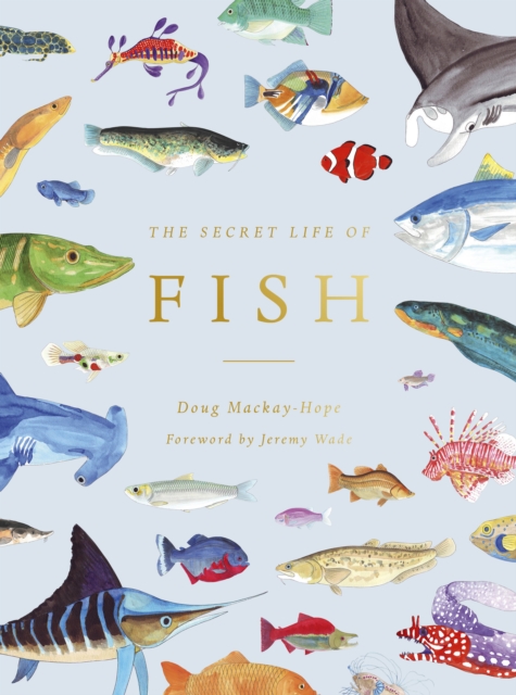 The Secret Life of Fish : The Astonishing Truth about our Aquatic Cousins, Hardback Book