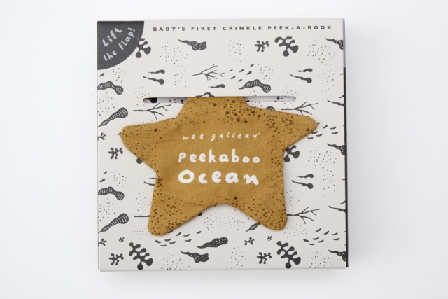 Peekaboo Ocean : Volume 2, Rag book Book