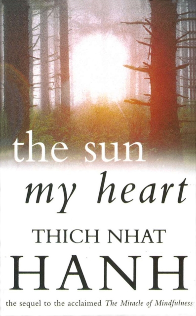 The Sun My Heart : From Mindfulness to Insight Contemplation, Paperback / softback Book