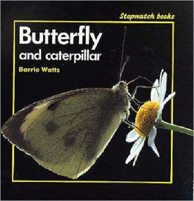 Butterfly and Caterpillar, Paperback / softback Book