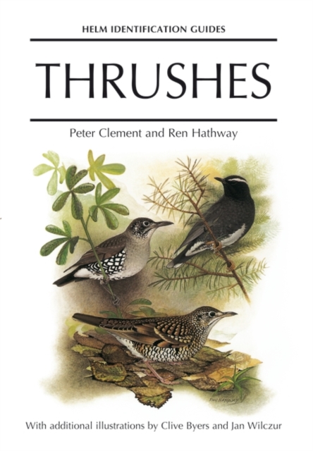 Thrushes, Hardback Book